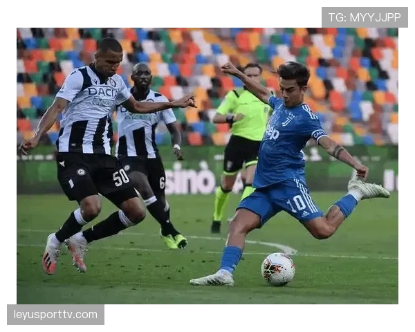 莱切官方：主力中卫巴希奇内收肌受伤，将缺席关键阶段定位球防守任务